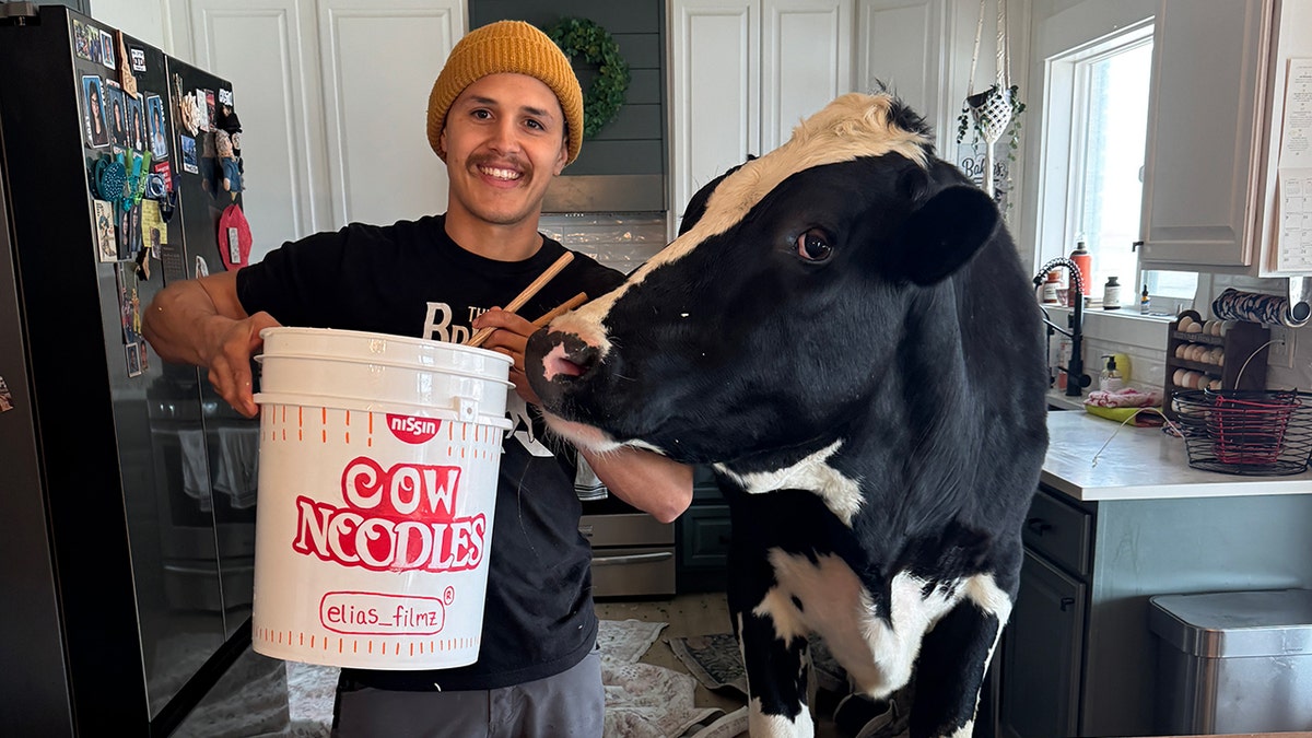 Bruce the Cow and Elias Herrera