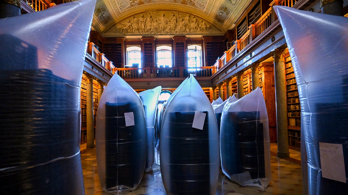 Hungary Medieval Library Infestation