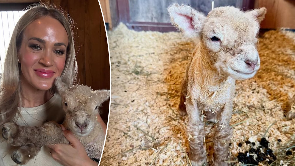 Carrie Underwood holding a baby sheep and smiling