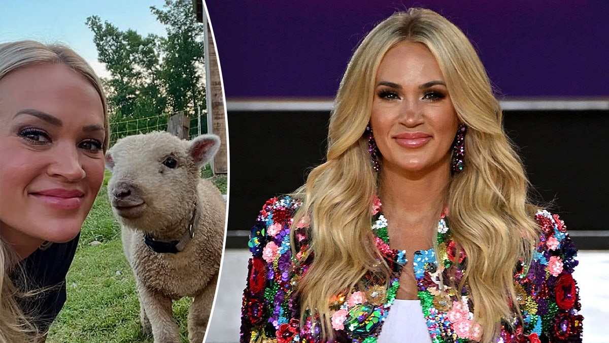 A split image of Carrie Underwood performing at a concert and at home with a sheep on her farm
