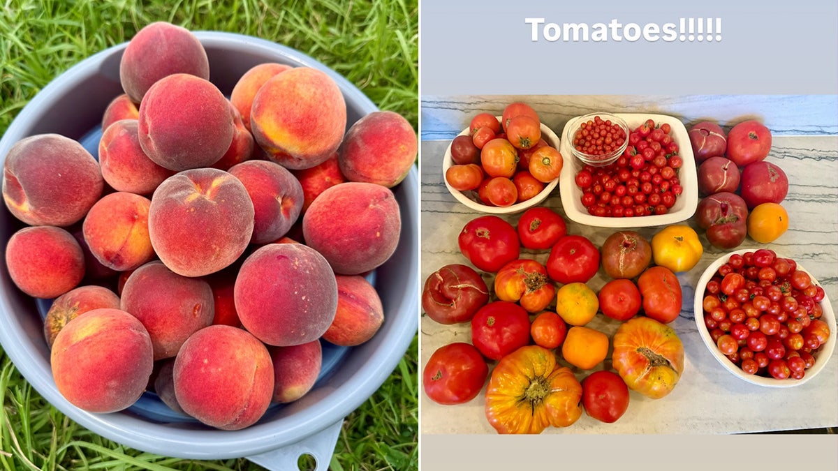 Photos that Carrie Underwood shared of peaches and tomatoes she grew on her farm
