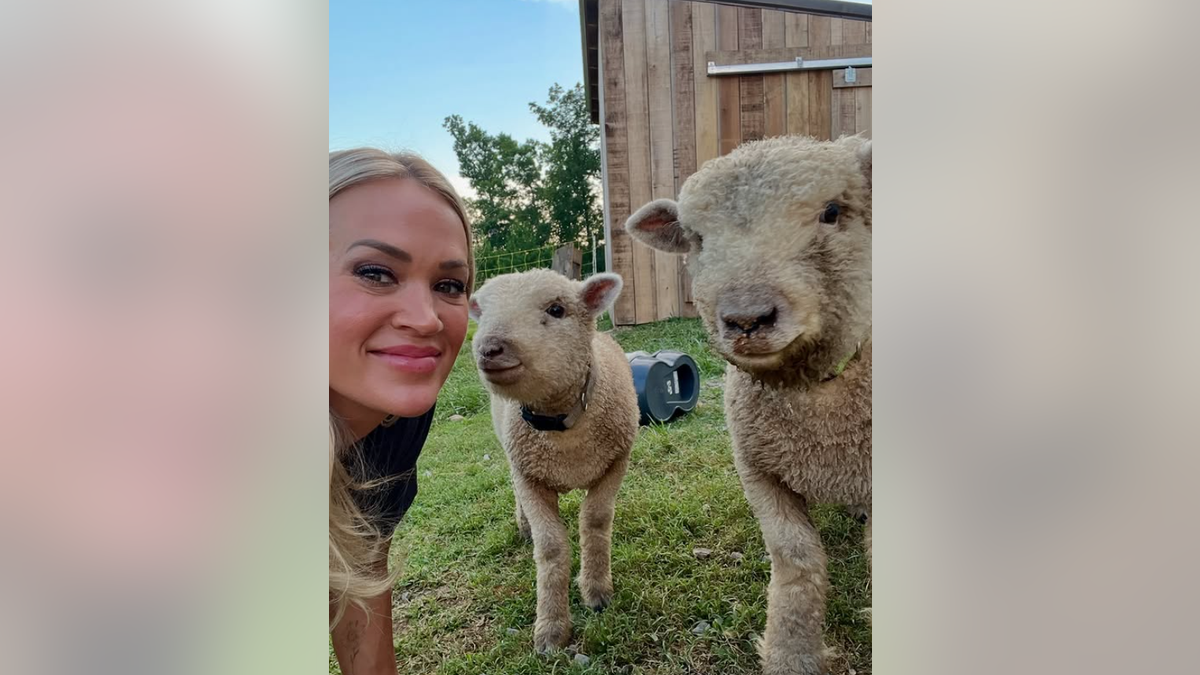 Carrie Underwood with her sheep on her farm
