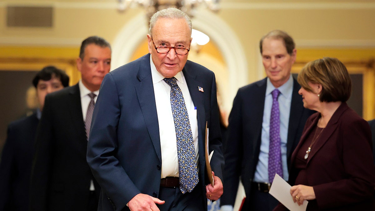 Thune questioned whether Senate Minority Leader Chuck Schumer, D-N.Y., will "bow to the Democrat base" and allow a government shutdown this fall.