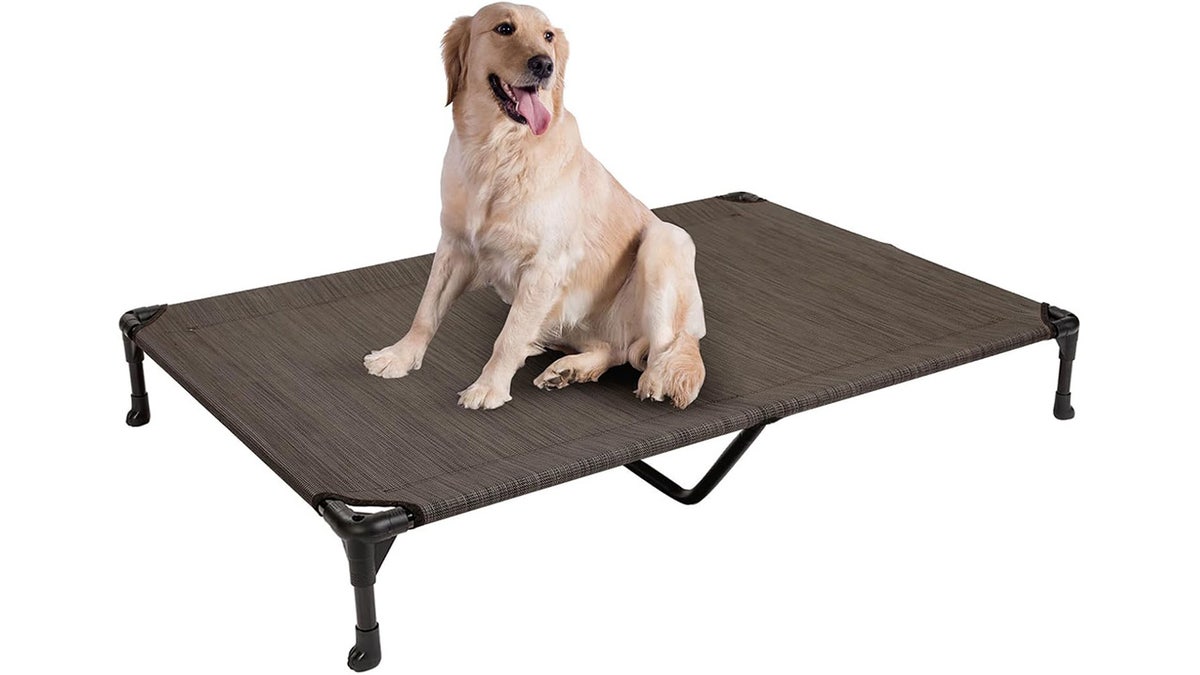 Keep your dog clean with a camping cot.