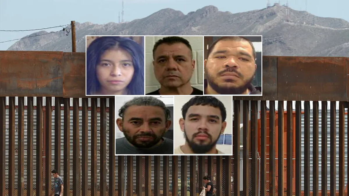 Criminal illegal aliens arrested by ICE