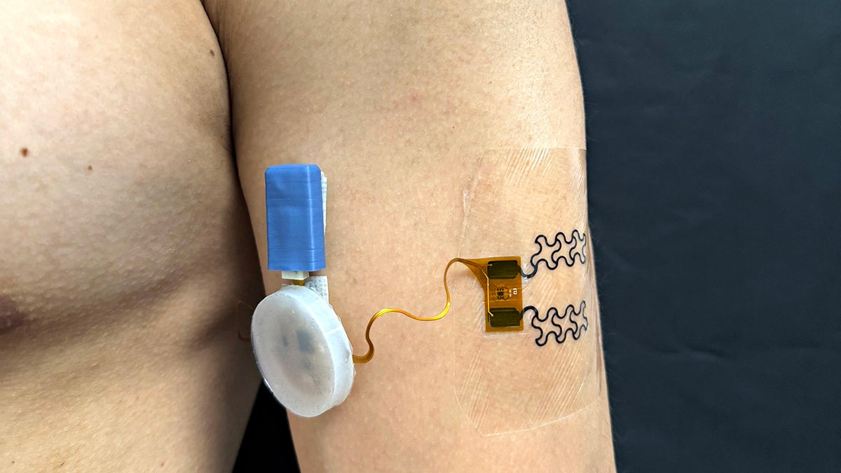 A new sensor tells people when they drink to avoid deadly dryness.
