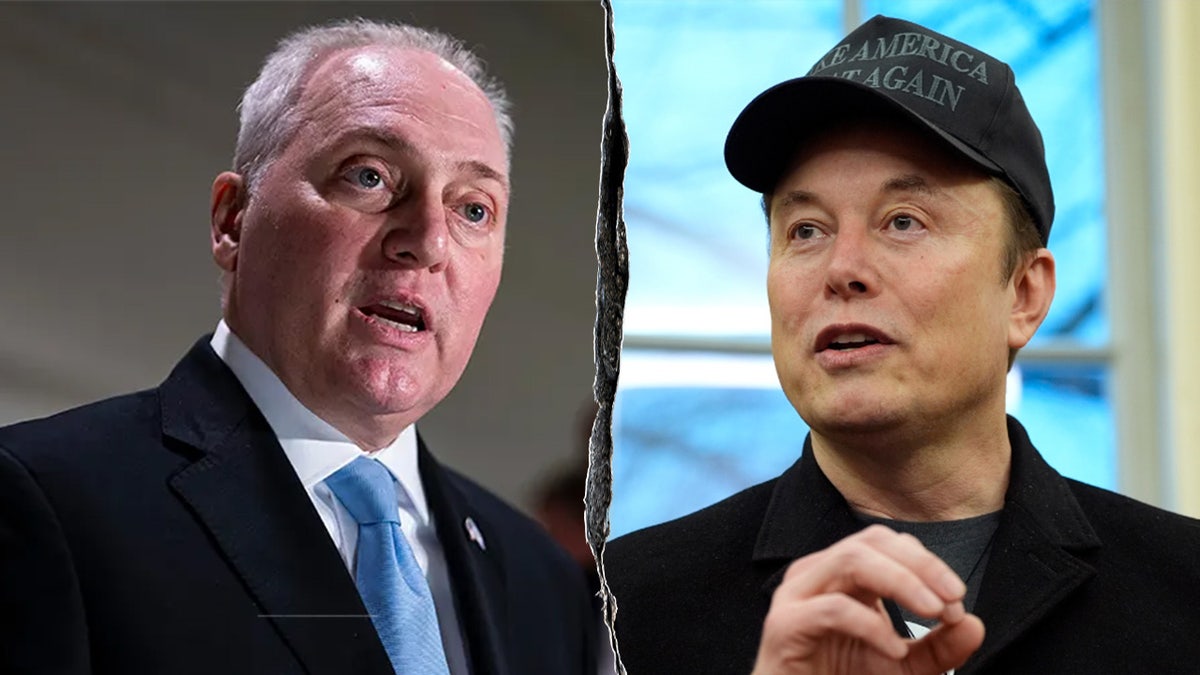 Elon Musk, Steve Scalise