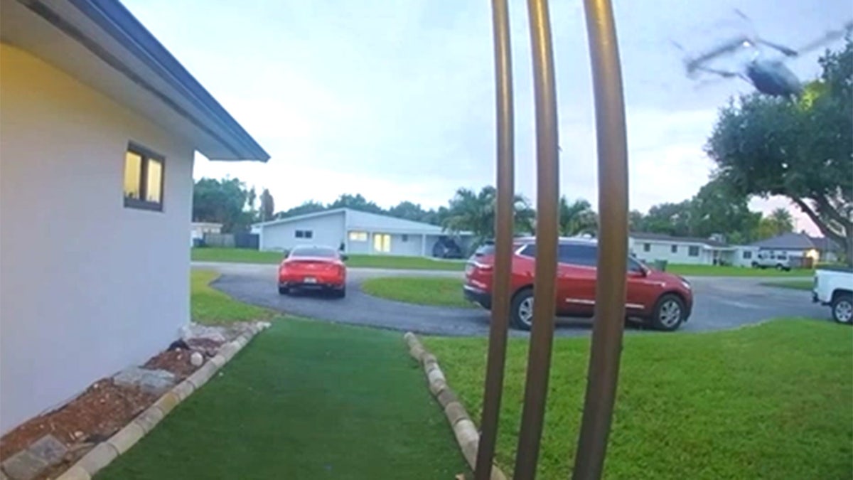 Small plane crashes in Florida