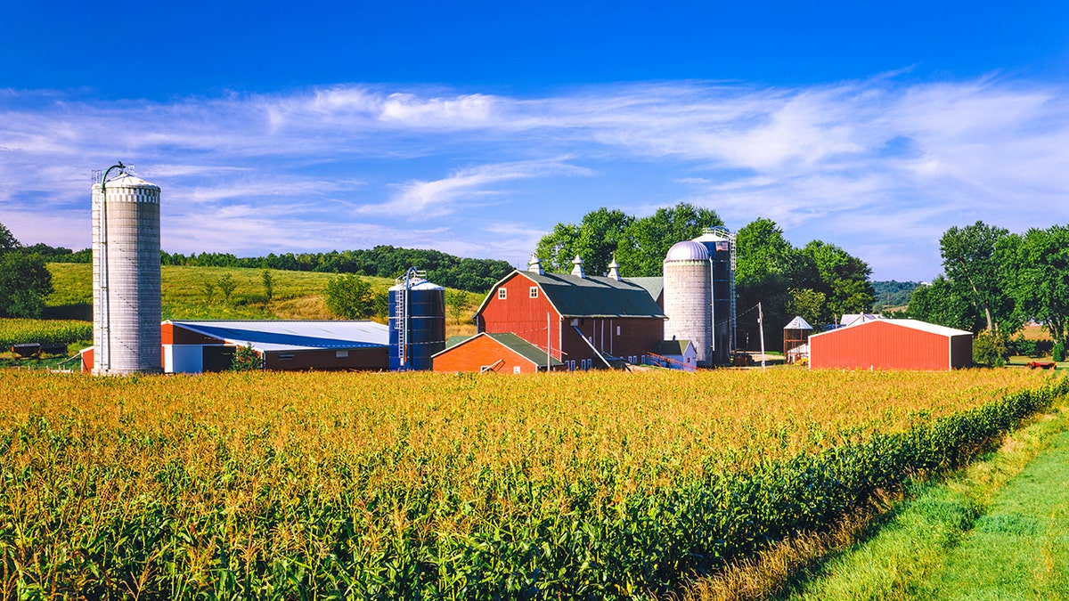 Stock photograph of workplace successful Iowa