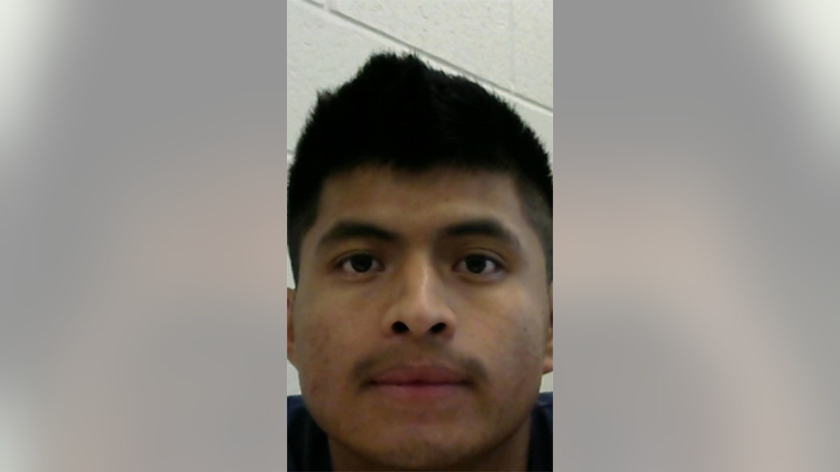 ICE in Houston releases new details about arrested illegal child sex offenders