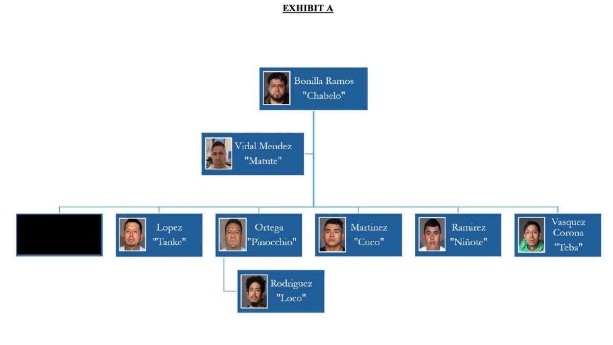 Members of the 18th Street gang arrested by authorities.