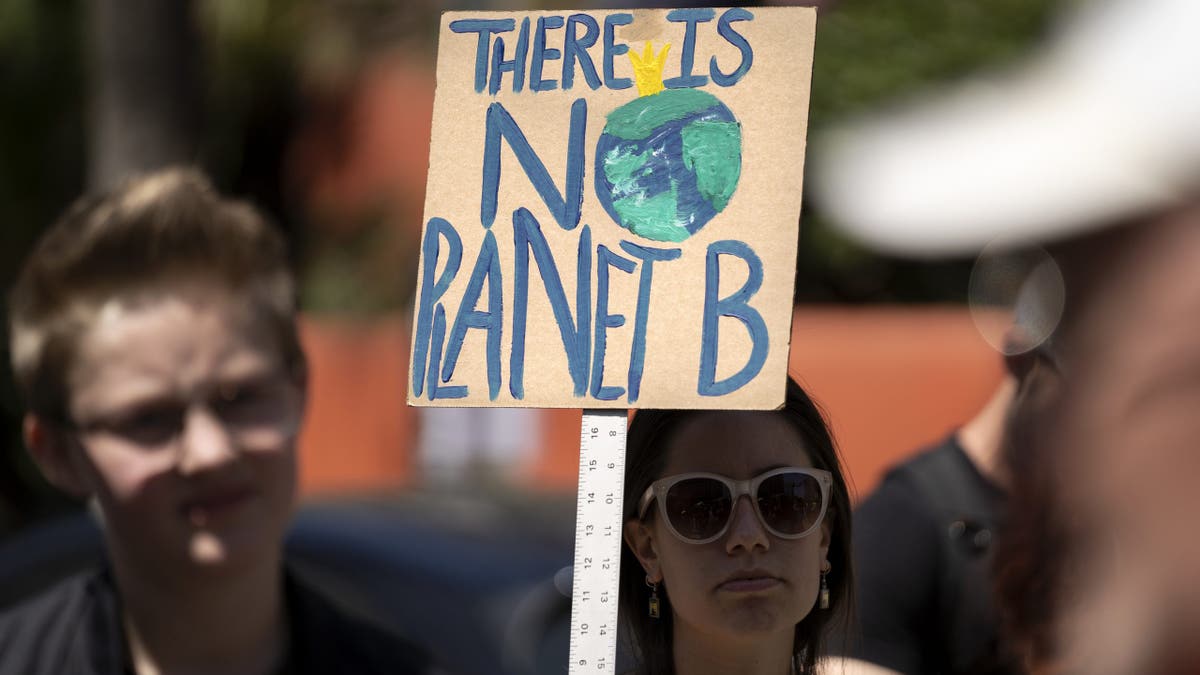 Protester holds motion that reads, "There is nary satellite B."