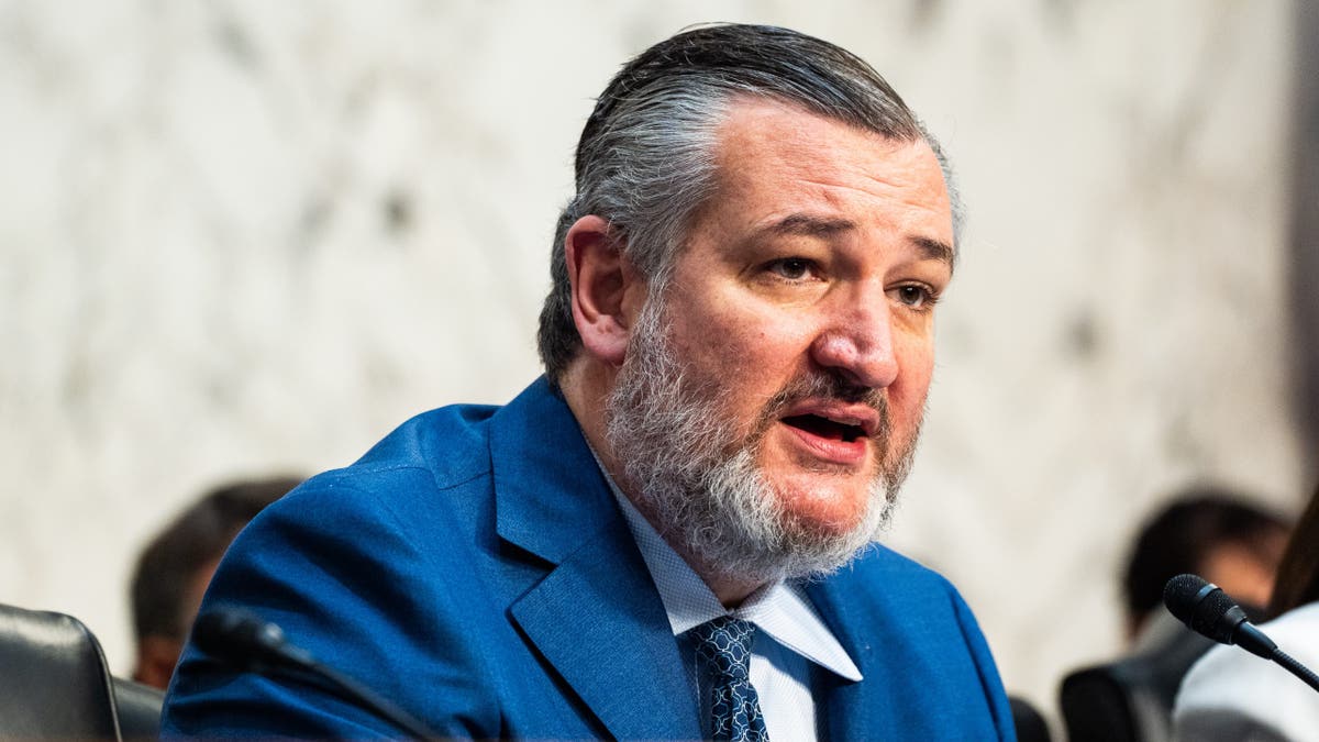 US Senator Ted Cruz (R-TX) speaks during a Senate Commerce, Science, and Transportation Committee hearing on Capitol Hill in Washington, DC on Thursday May 8, 2025.