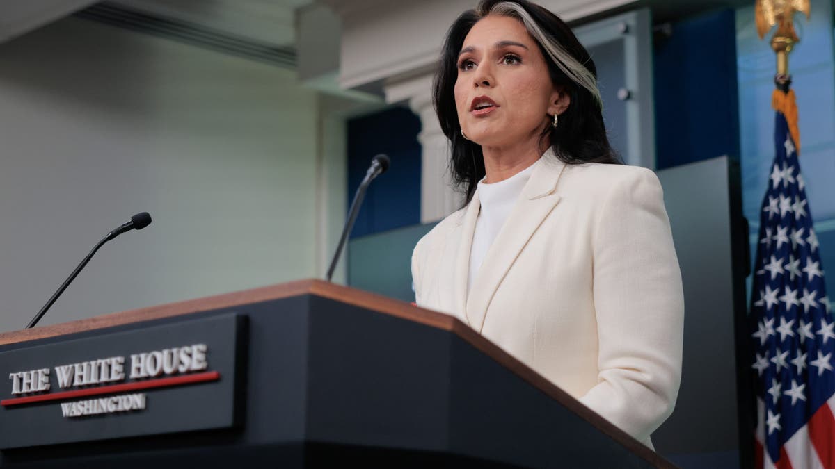 Tulsi Gabbard speaks