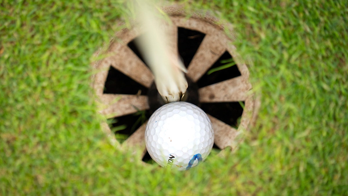 John Payne hit his first ever hole-in-one at 90 years old - just one day after celebrating his milestone birthday.