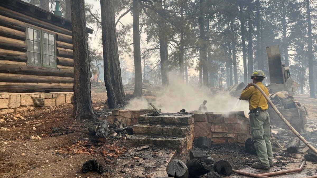 charred remains of a building