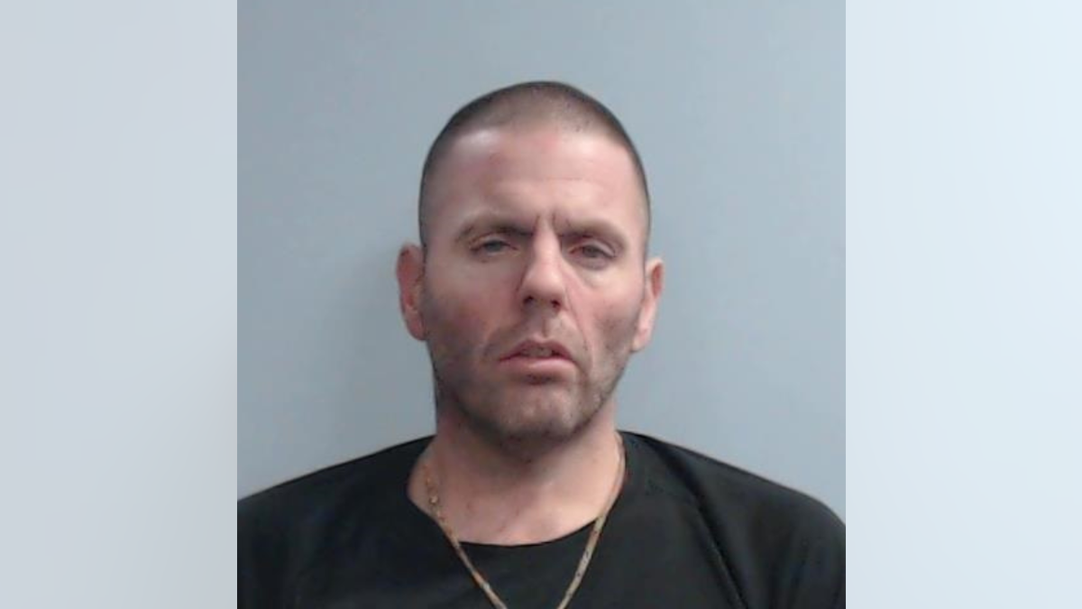 Guy House booking picture