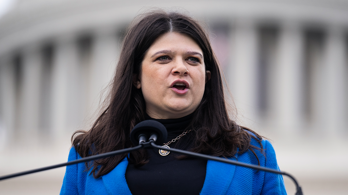 Rep. Haley Stevens is moving for nan U.S. Senate.