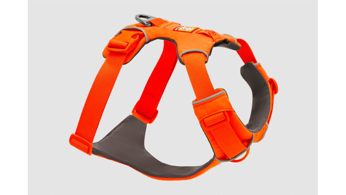 A comfortable harness makes it easy to attach your dog to a tie-out or lead.