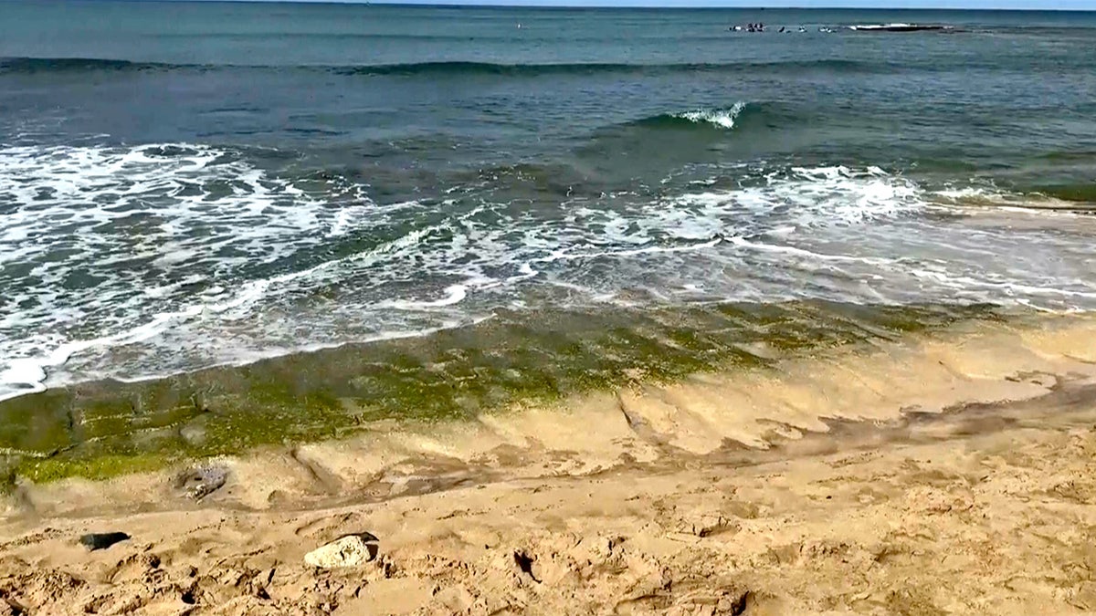 Ancient Hawaiian petroglyphs on a beach are visible again with changing tides and shifting sands