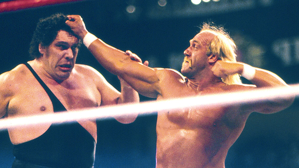 Hogan against the giant André