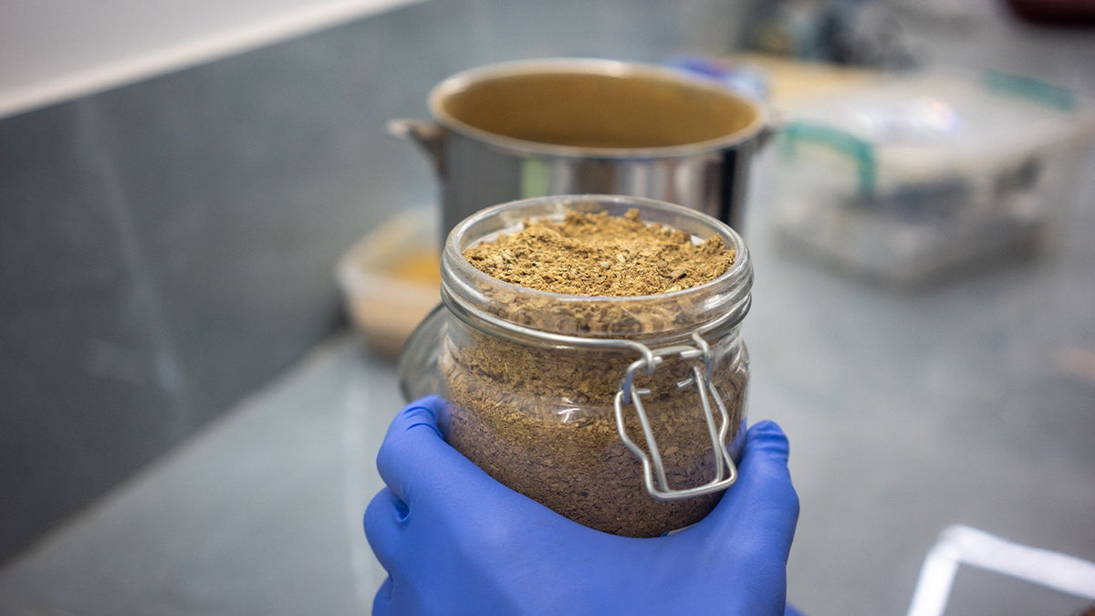 Laboratory Iboga Powder