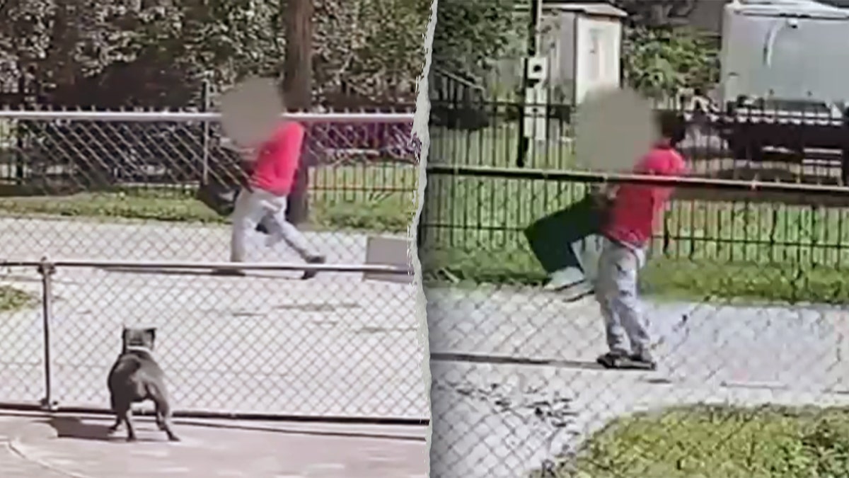 Surveillance video allegedly shows illegal immigrant Jose Perdoma carrying Chinese woman