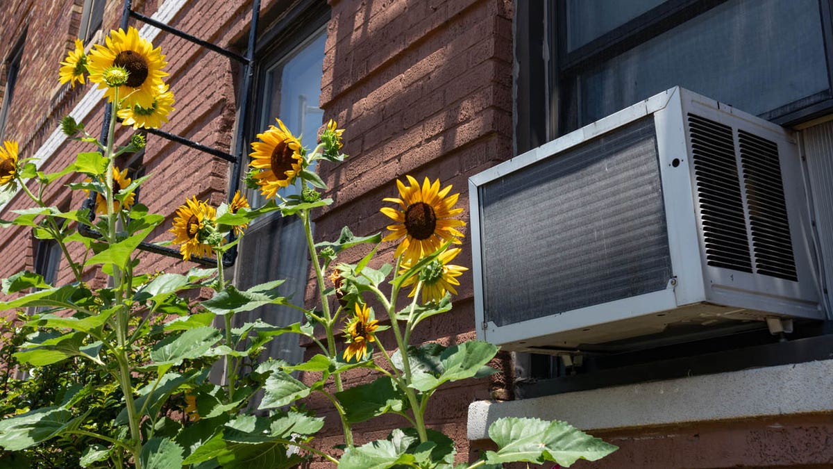 Cool your home with one of these air conditioners.