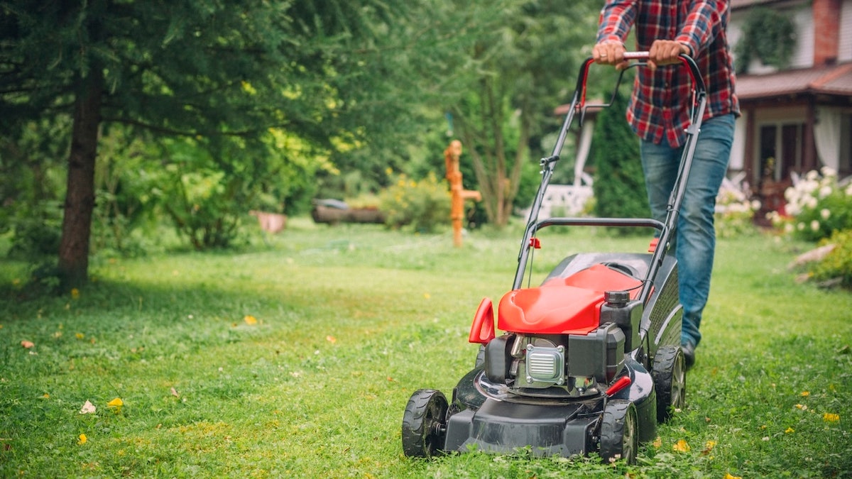 Get battery-powered lawn equipment for easier upkeep.