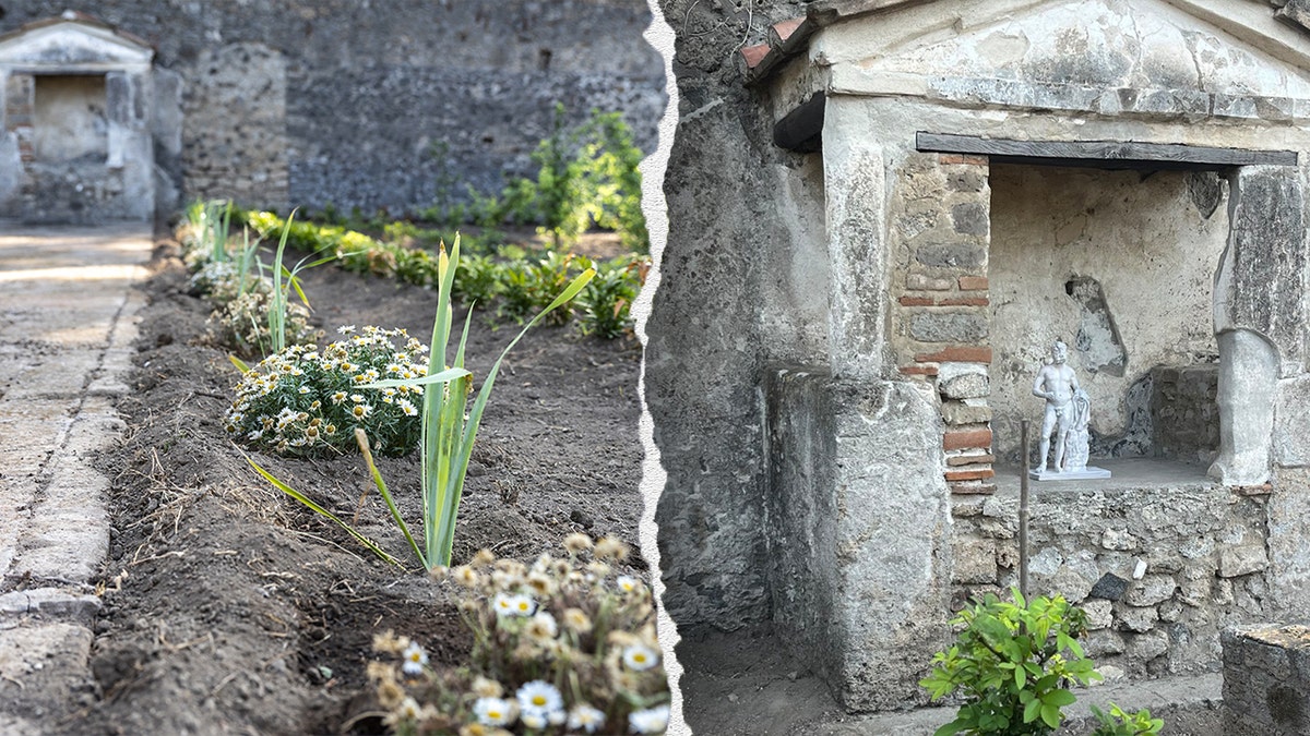 Split image of plant, shrine of garden