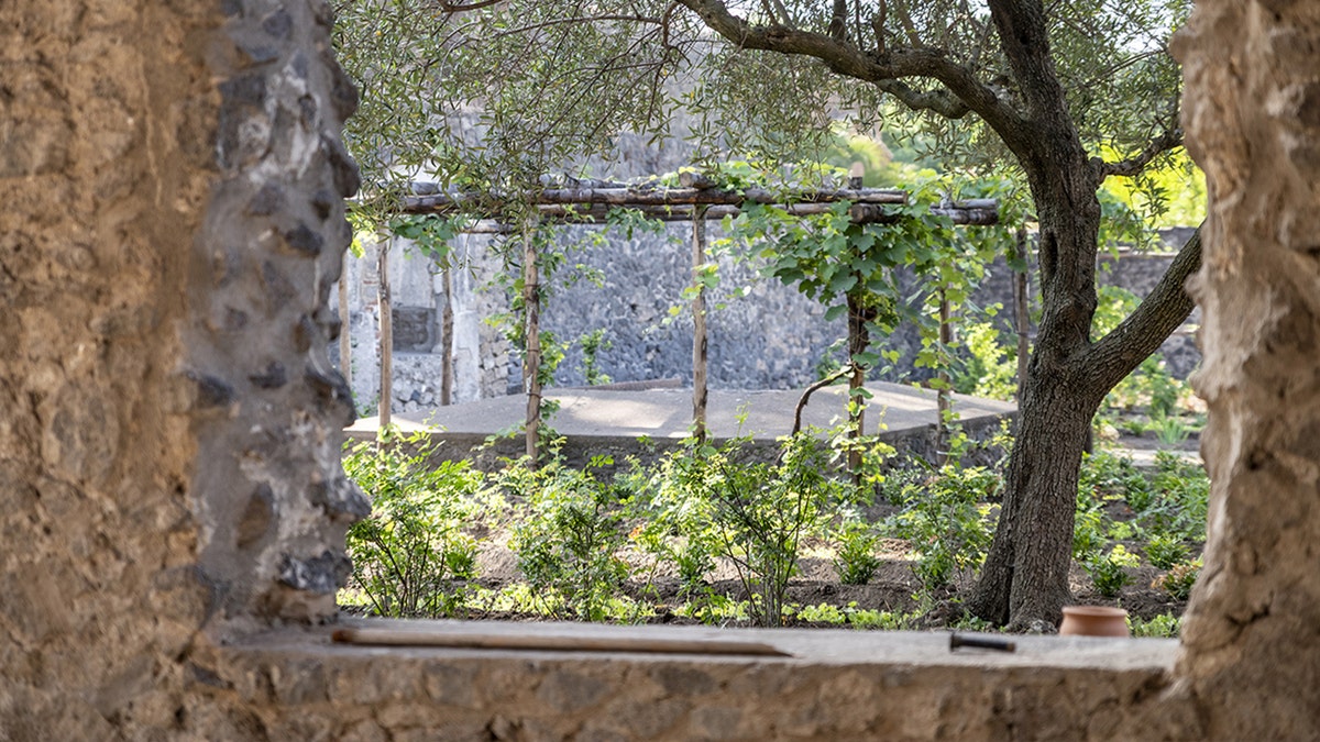 View of Pompeii garden within stone structure