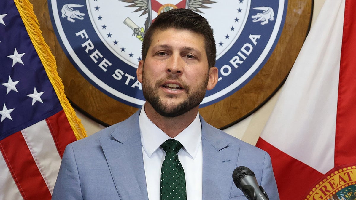 Florida cites mafia law, hits Planned Parenthood with suit over claim abortion pill 'safer than Tylenol'  at george magazine