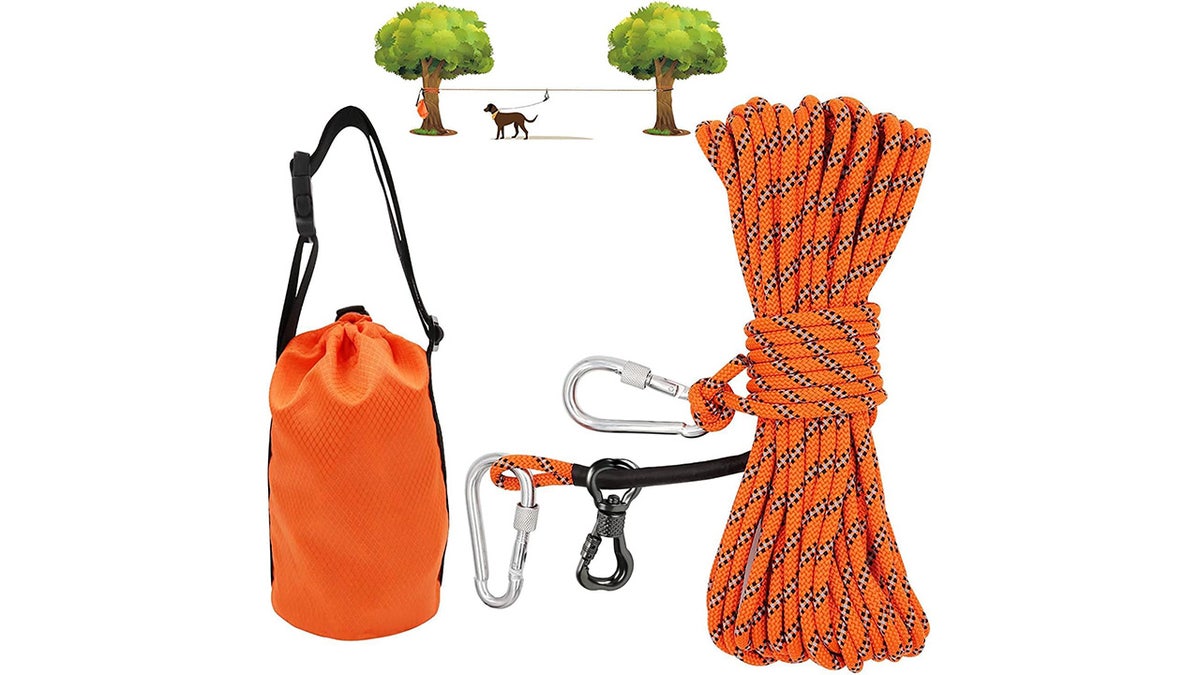 Give your dog some space to roam. 