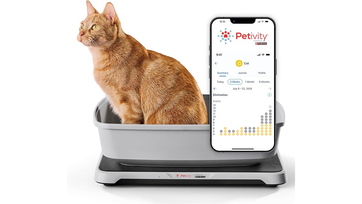 The Petivity litter box monitor system is a smart device that monitors your cat's health by tracking their weight and litter box habits when placed beneath any litter box.