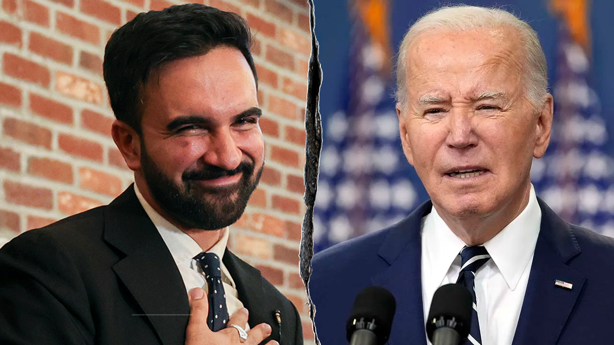 Democratic strategists have said Assemblyman Zohran Mamdani's New York City primary win signals a "generational" change in the Democratic Party.