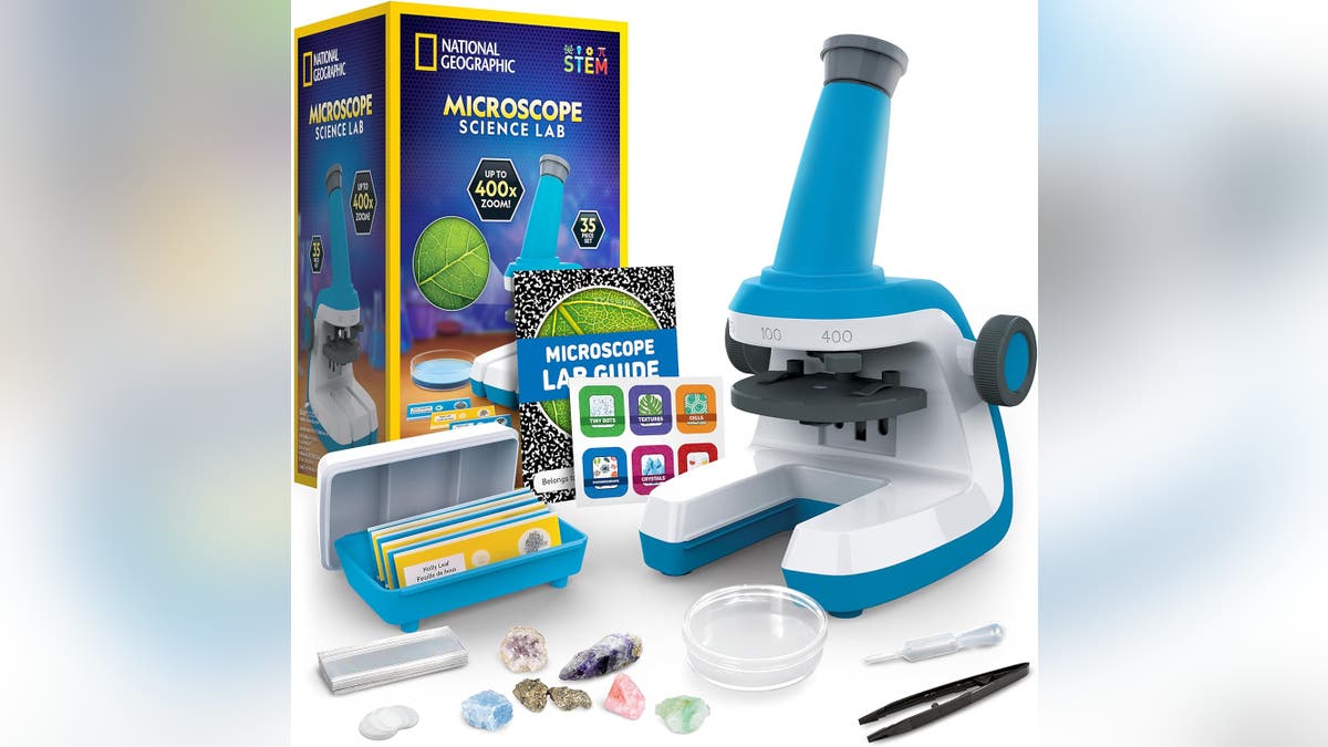 Young aspiring scientists can create a lab specimen with this kit.