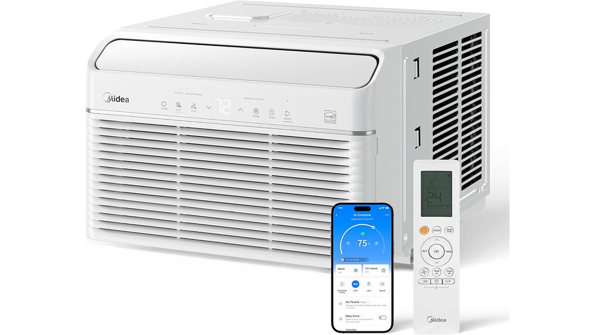 You can cool it and heat it with this AC. 