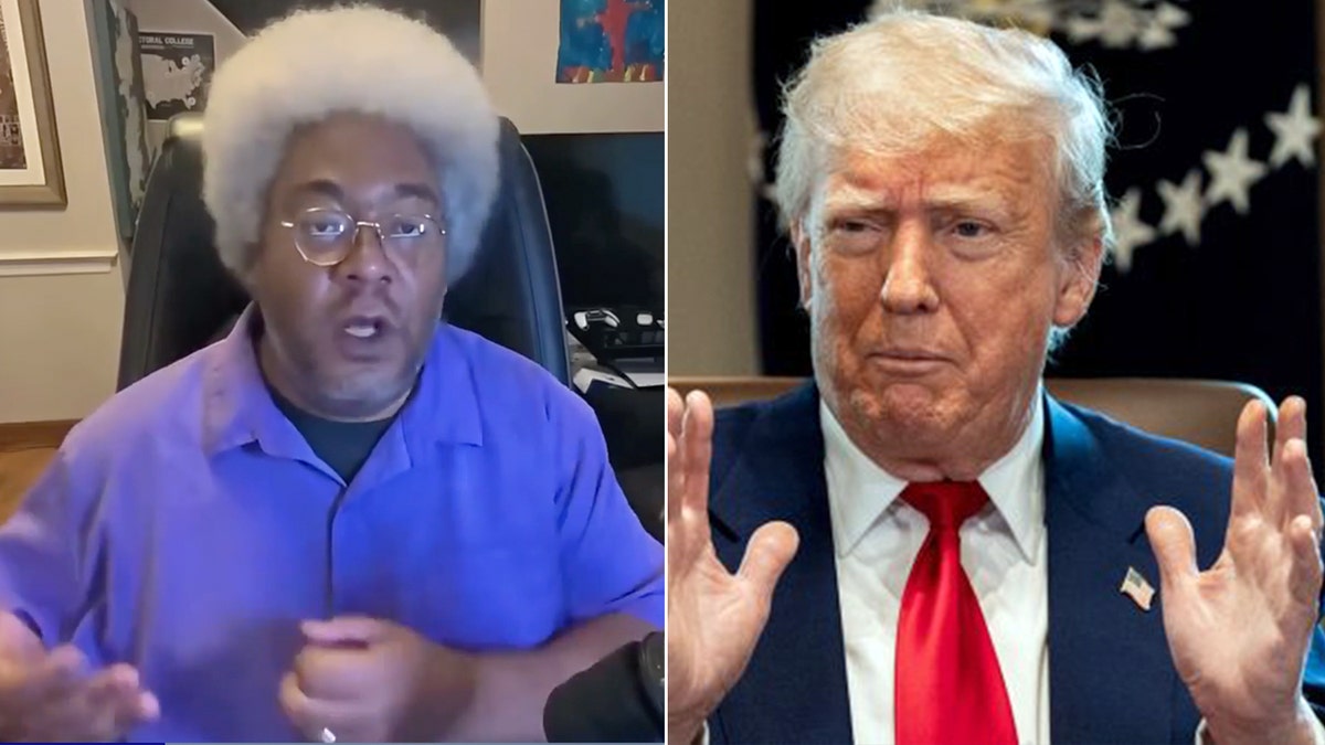 Elie Mystal and President Donald Trump