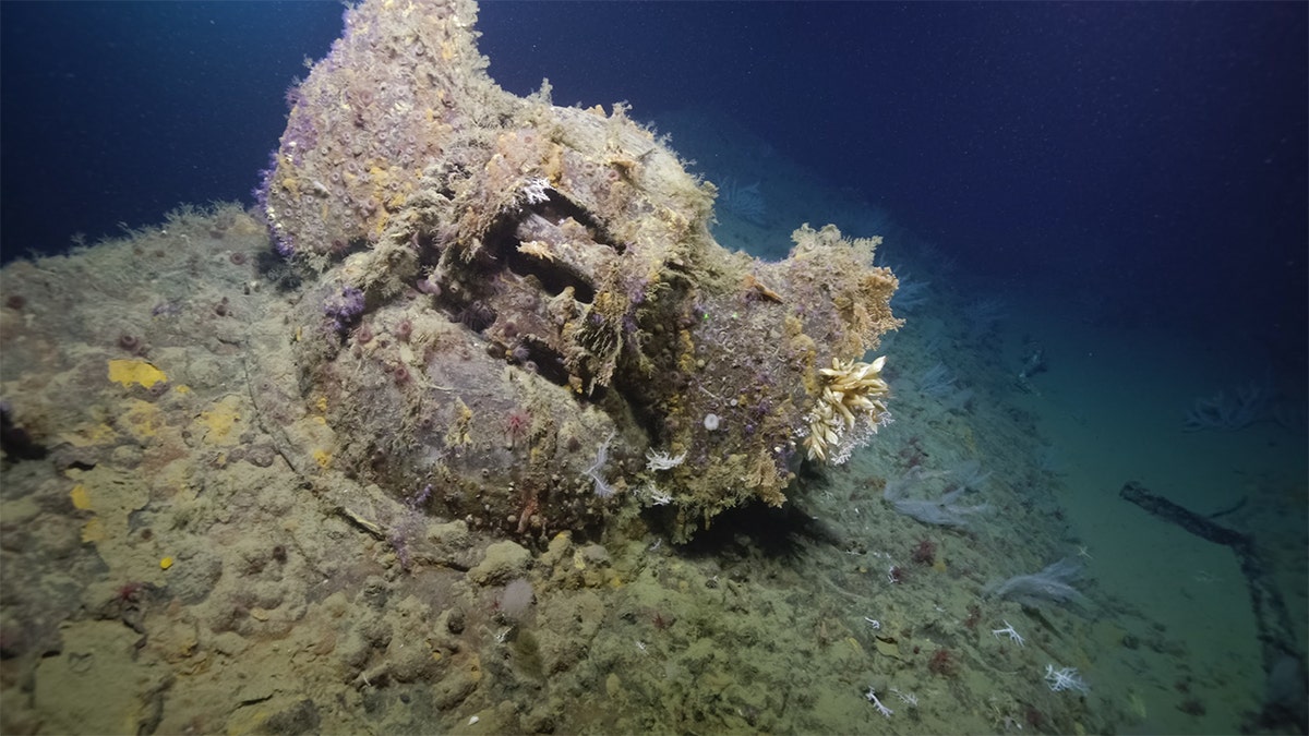 The structure and unique stamps on the basis of anchor, with