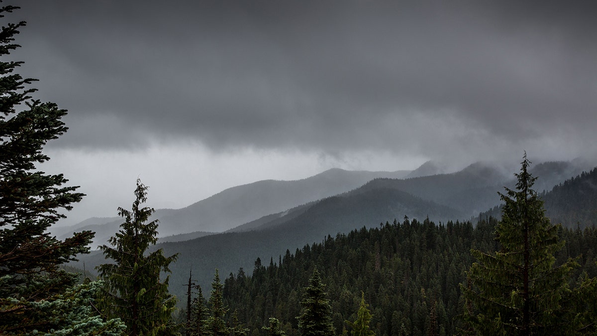 Exploring Washington's Olympic National Park