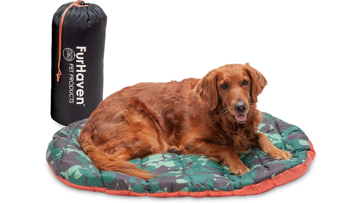 Make sure your dog’s bed is waterproof and dirtproof.