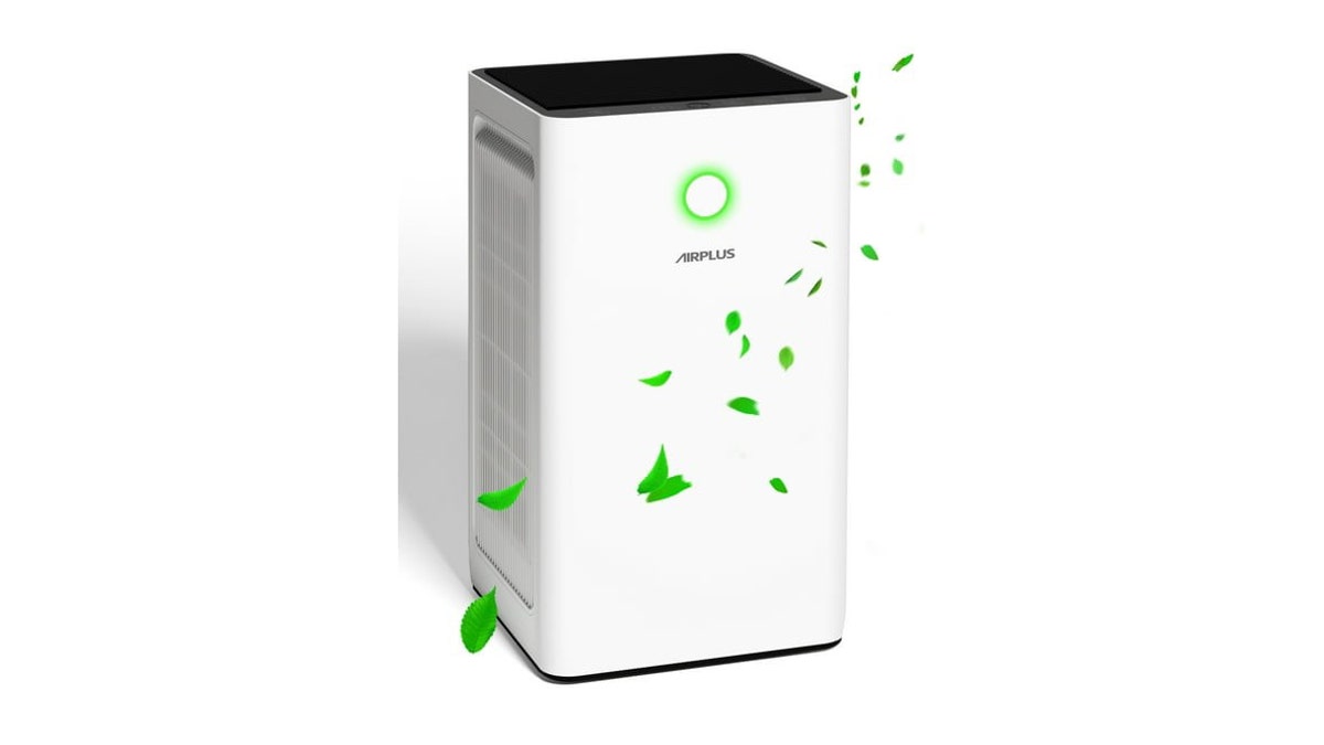 This purifier tackles pet hair and smells. 