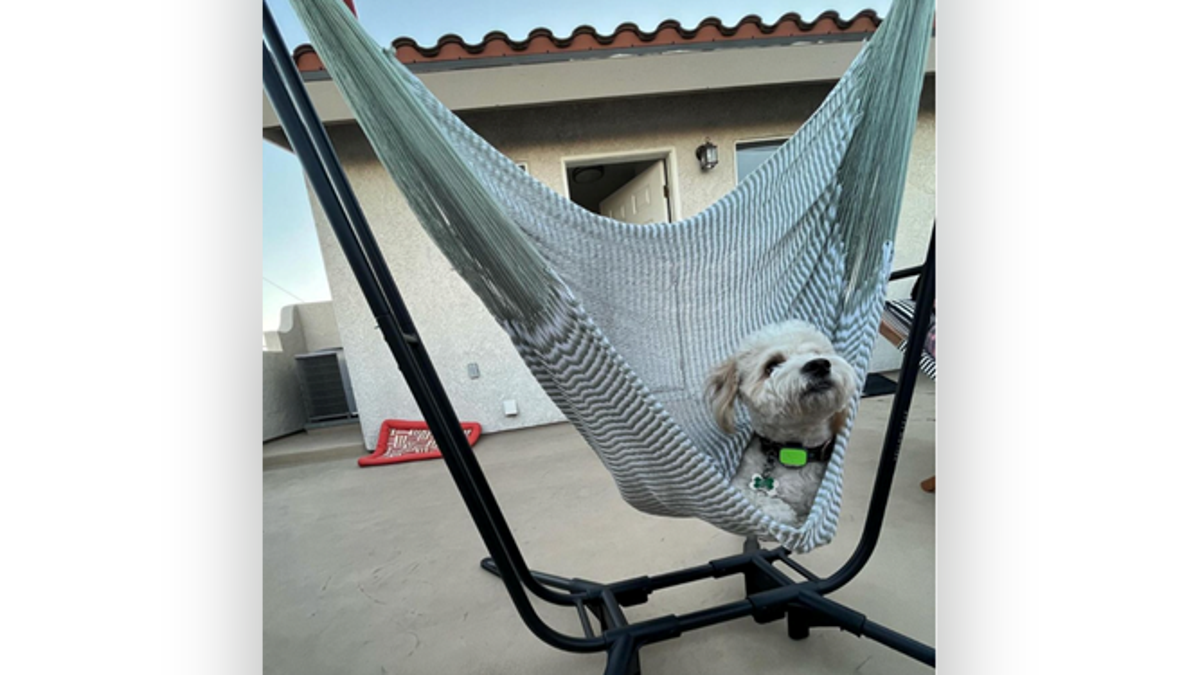 Relax in this comfortable hammock chair. 