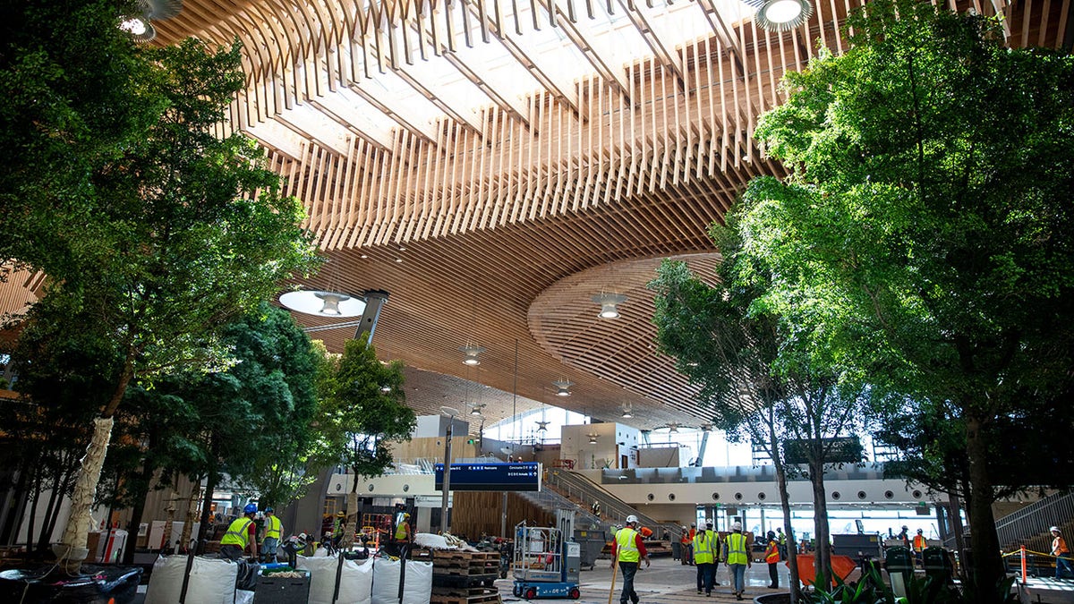 Trees seen at Portland International Airport shortly after reopening; Construction workers seen in the background under high trees and wavy wooden roof.