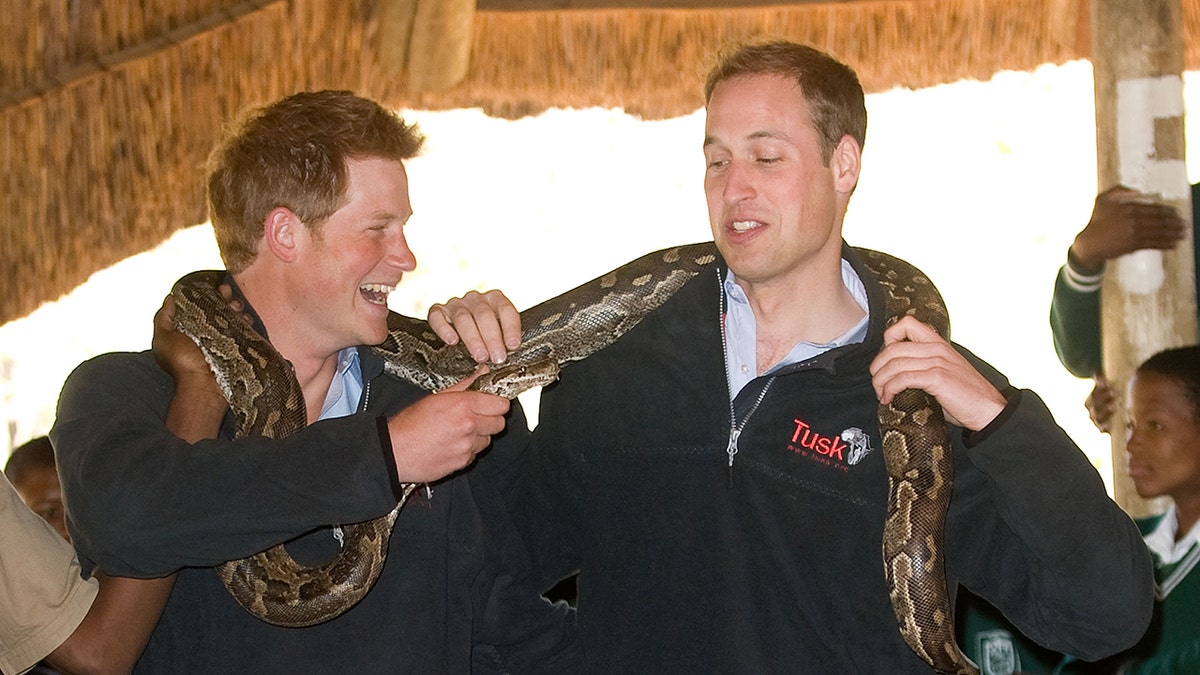 Prince Harry and Prince William horsing around with a snake in Africa.