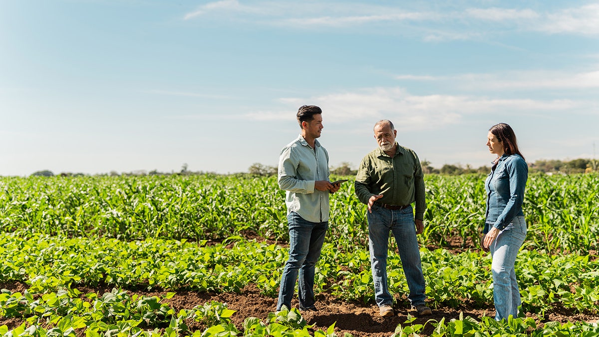 Researchers on a farm