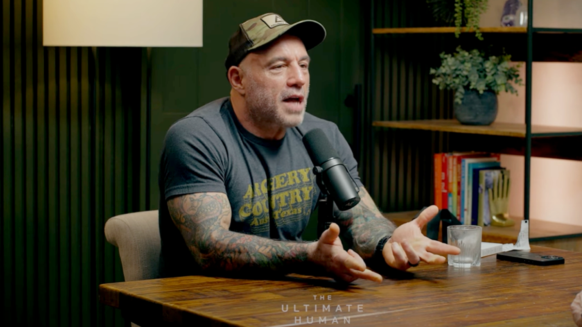 Rogan speaks on a podcast