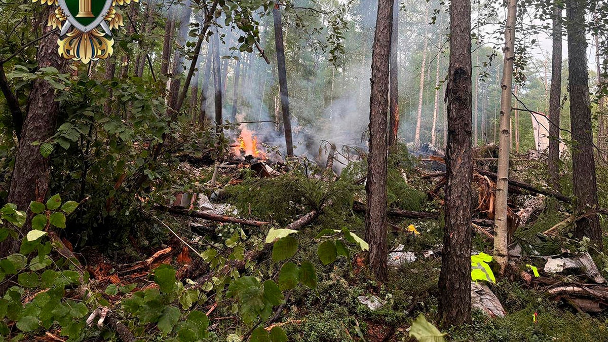 Plane crashes in remote Russian region