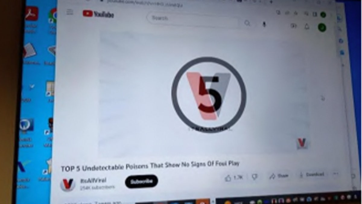 The search history provided YouTube searches for