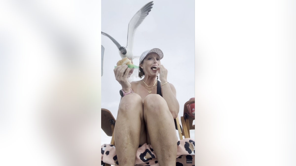 Seagull approaches to steal sandwich